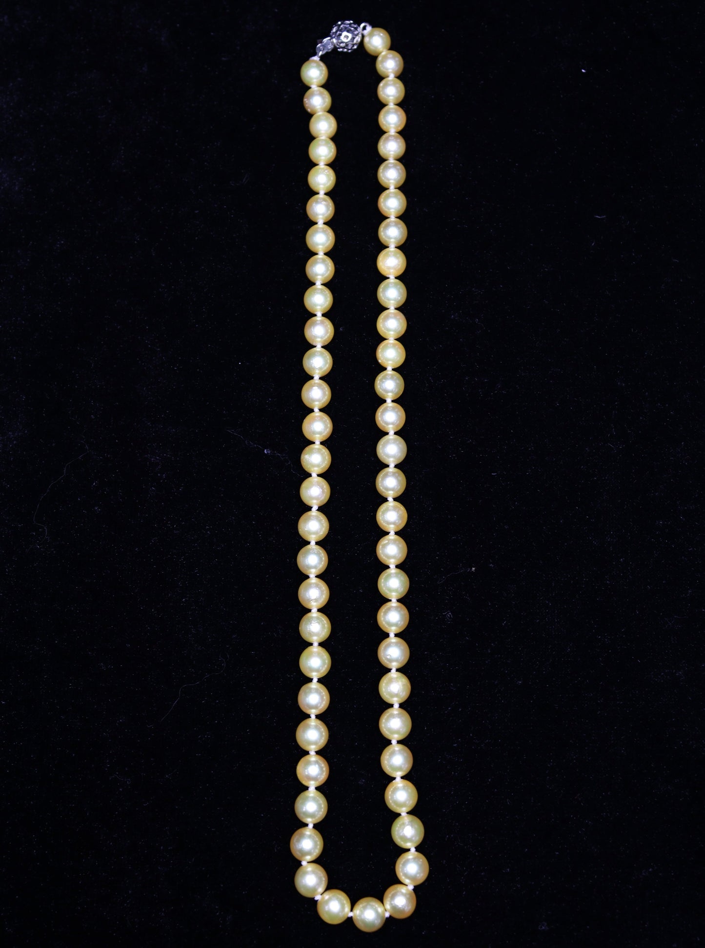 6-8MM Gold Dye Akoya Japanese Pearl Necklace - XIGEMS