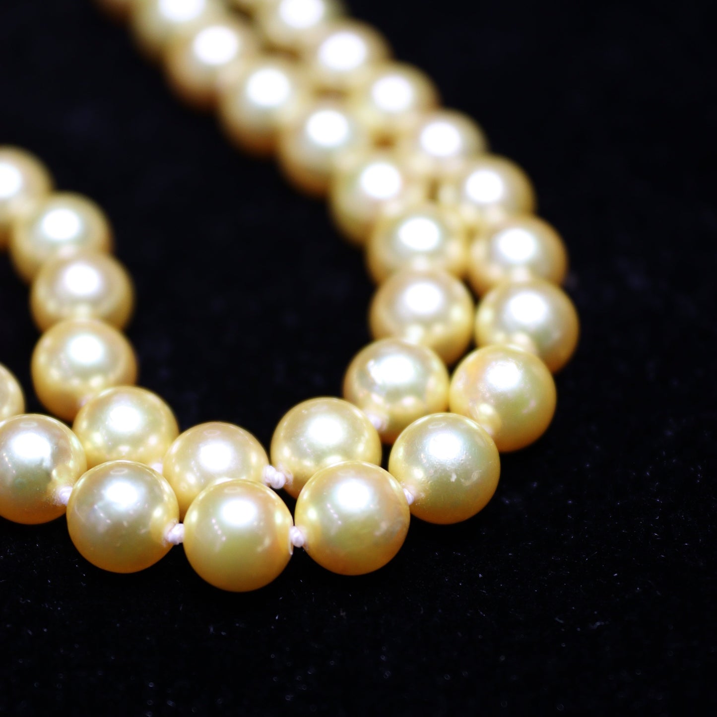 6-8MM Gold Dye Akoya Japanese Pearl Necklace - XIGEMS