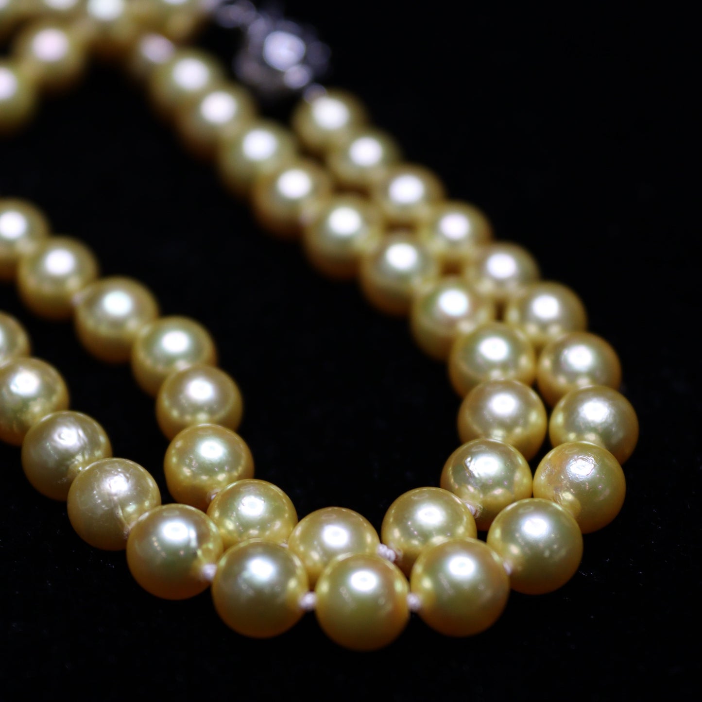 6-8MM Gold Dye Akoya Japanese Pearl Necklace - XIGEMS