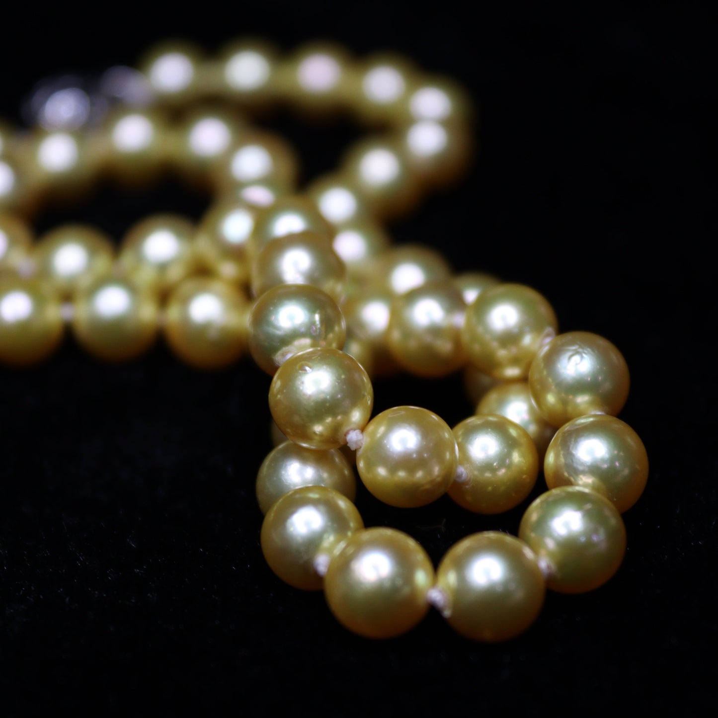 6-8MM Gold Dye Akoya Japanese Pearl Necklace - XIGEMS