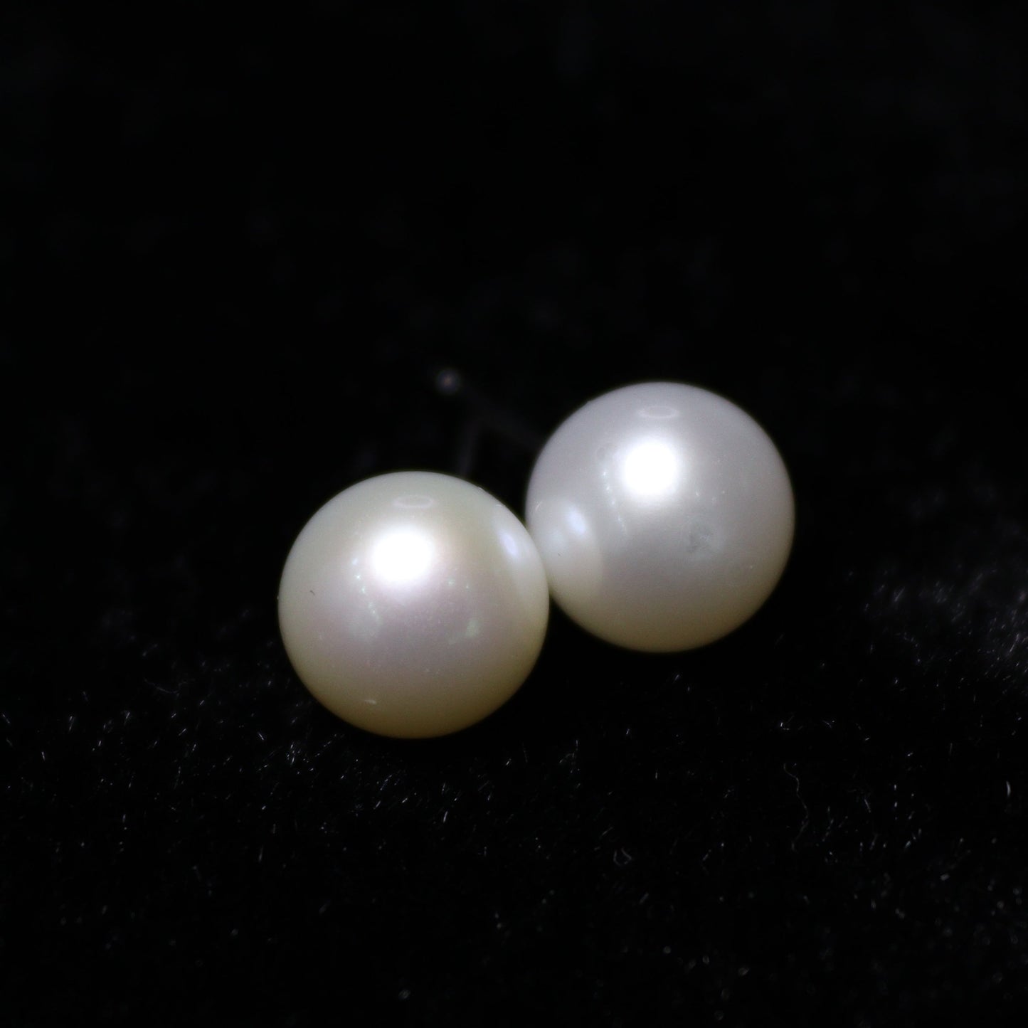 8-9MM White Freshwater Pearl Earring Studs - XIGEMS 