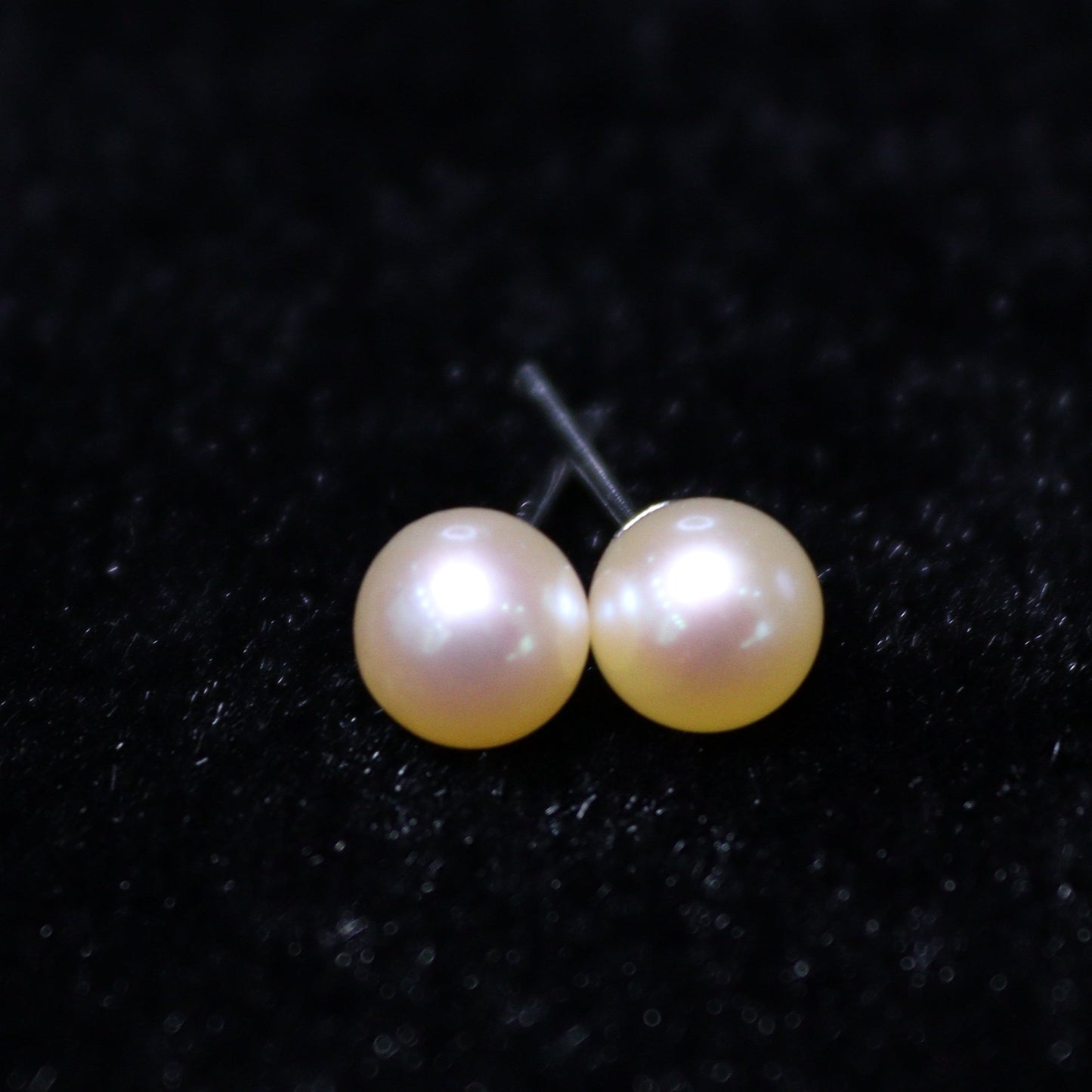 5-6MM Round Freshwater Pearl Earring Studs - XIGEMS 