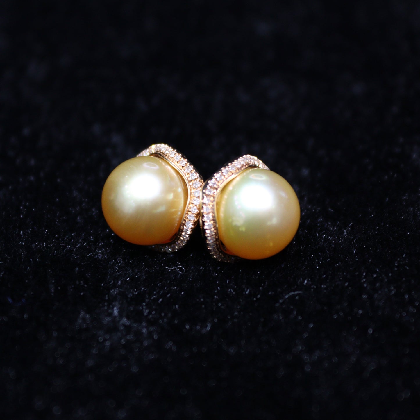 10MM Gold South Sea Pearl Earring - XIGEMS 