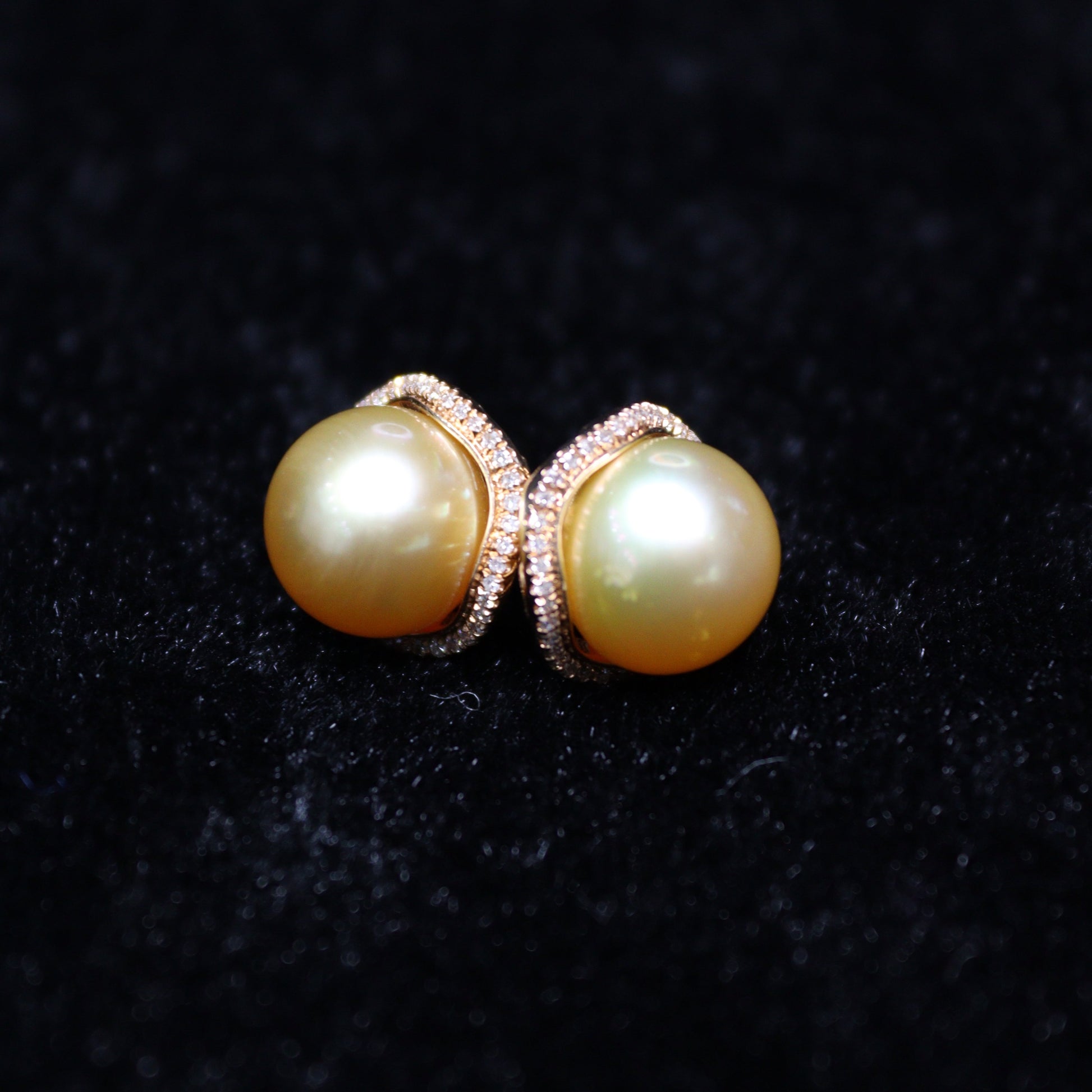 10MM Gold South Sea Pearl Earring - XIGEMS 