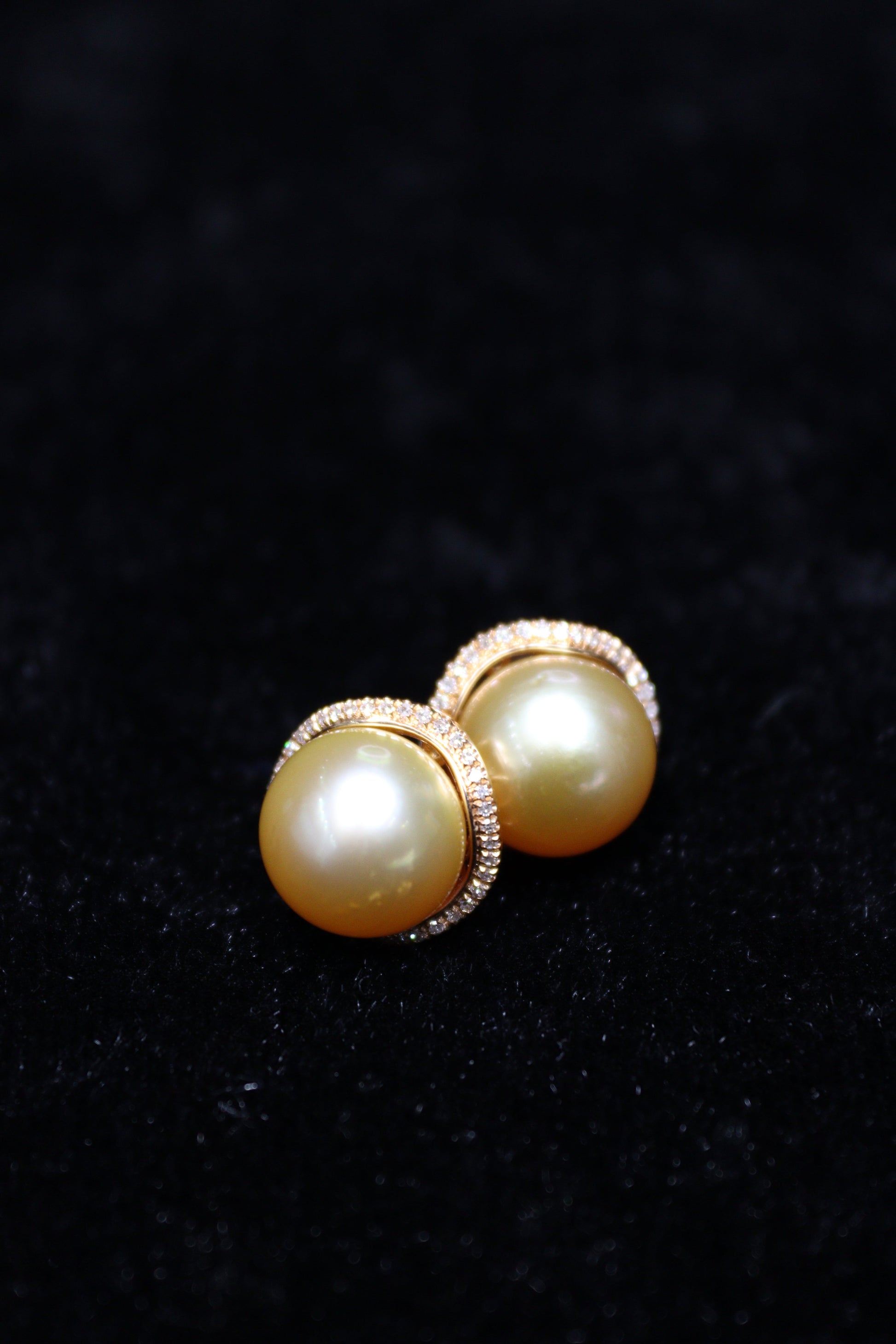 10MM Gold South Sea Pearl Earring - XIGEMS 