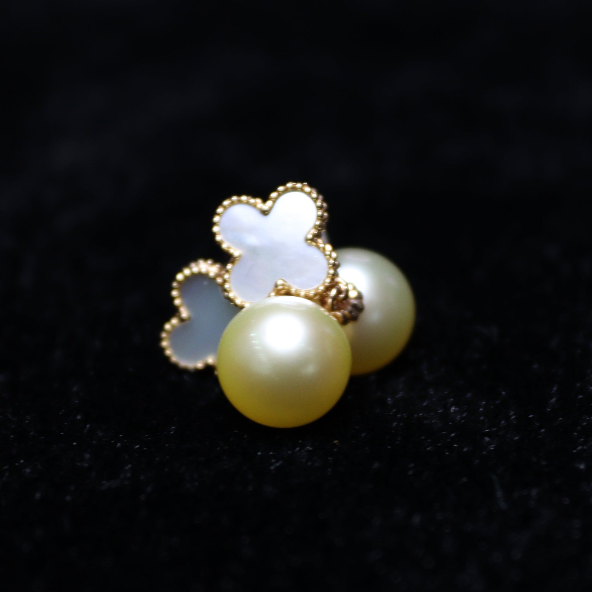 8MM Clover Cream Yellow Japanese Pearl Earring - XIGEMS 