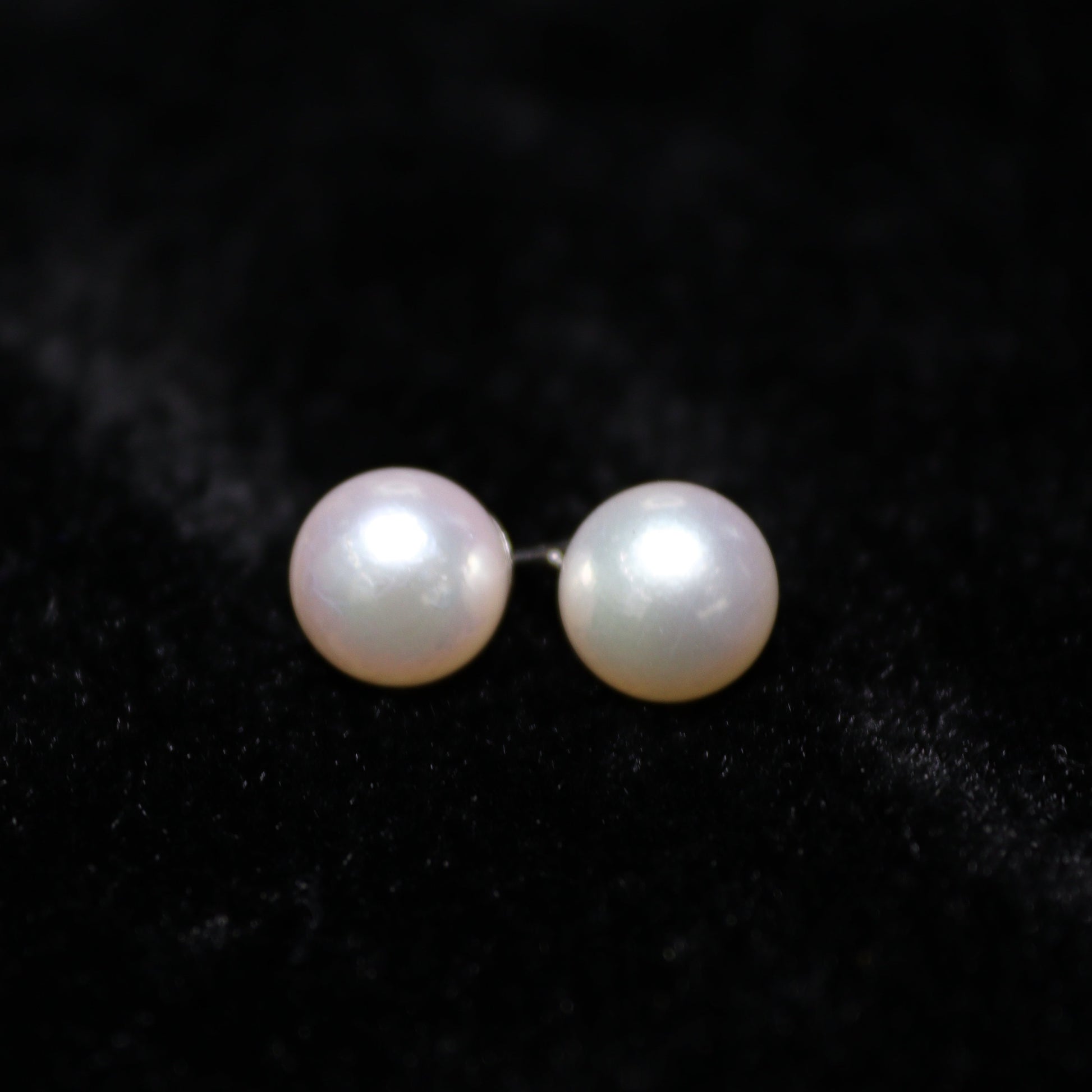 8MM White Akoya Japanese Pearl Earring - XIGEMS 